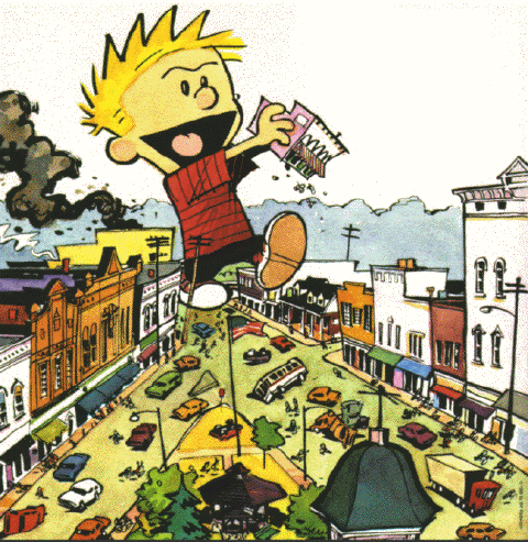 The Essential Calvin and Hobbes by Bill Watterson back cover