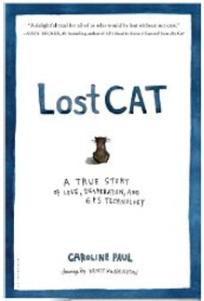 Lost Cat book