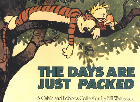 Calvin and Hobbes - the Days are Just Packed